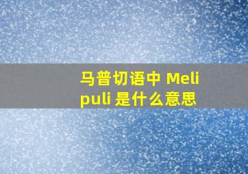 马普切语中 Melipuli 是什么意思